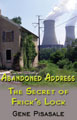 Abandoned Address- the Secret of Frick's Lock- Historical Mystery Novel